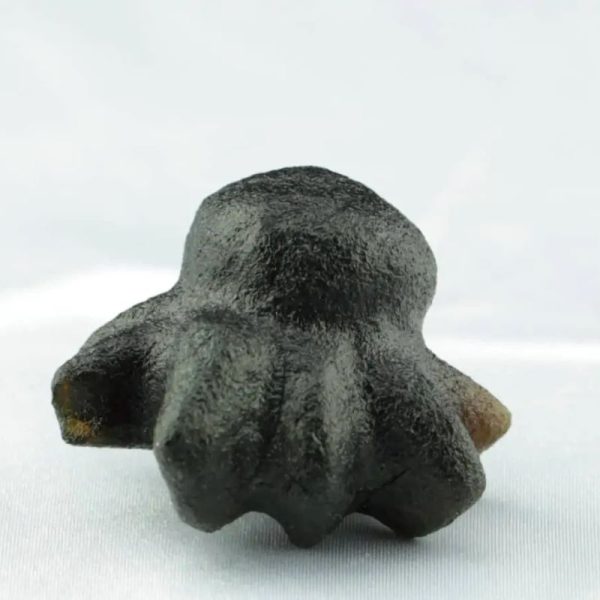 Fossilized Crab Pearl - Type A4