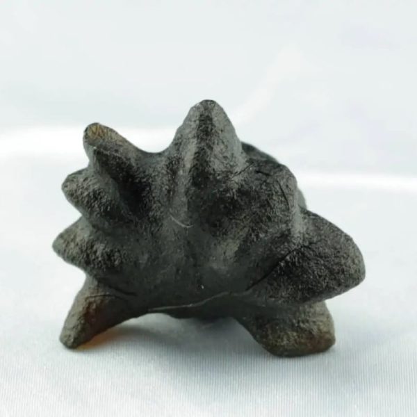 Fossilized Crab Pearl - Type A4 - Image 4
