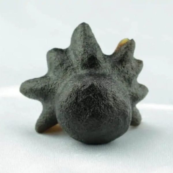 Fossilized Crab Pearl - Type A4 - Image 3
