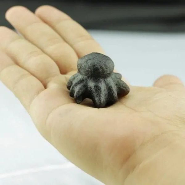 Fossilized Crab Pearl - Type A4 - Image 2