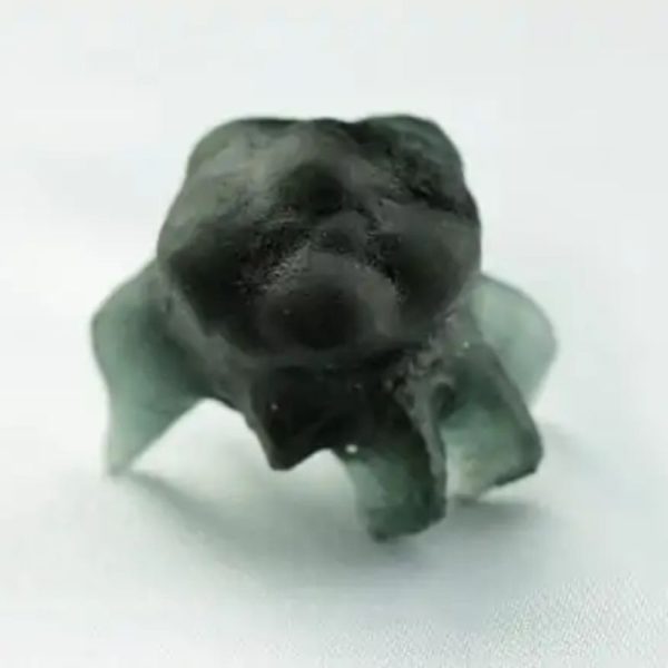 Fossilized Crab Pearl - Type A1 - Image 4