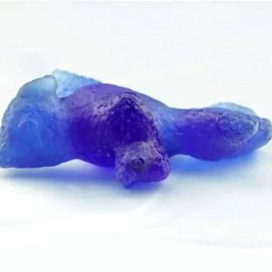 Prehistoric Sea Creatures - Type B1