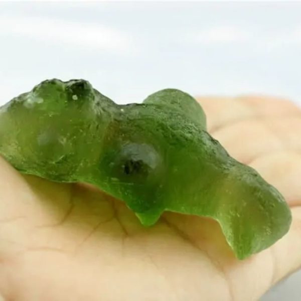 Prehistoric Sea Creatures - Type B3 - Image 3