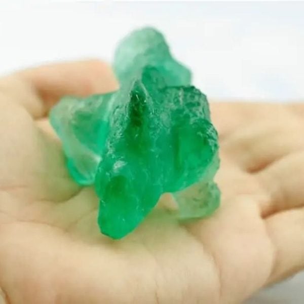 Prehistoric Sea Creatures - Type B4 - Image 3