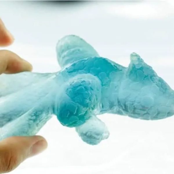 Prehistoric Sea Creatures - Type B5
