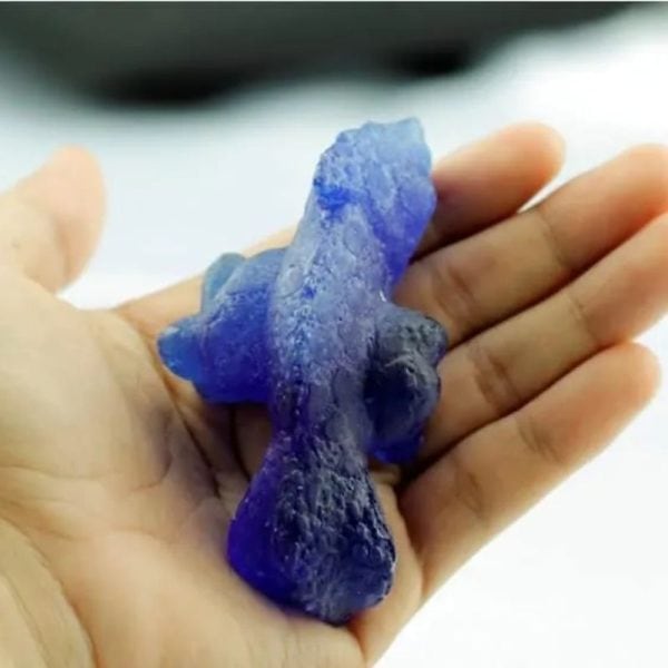 Prehistoric Sea Creatures - Type B9 - Image 2