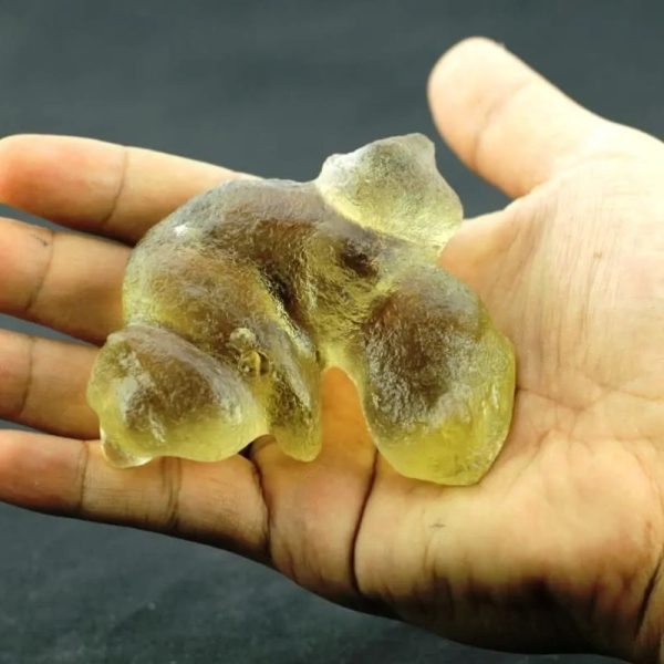 Dugong Pearls - Type H1 - Image 2