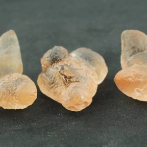 Dugong Pearls - Type H2