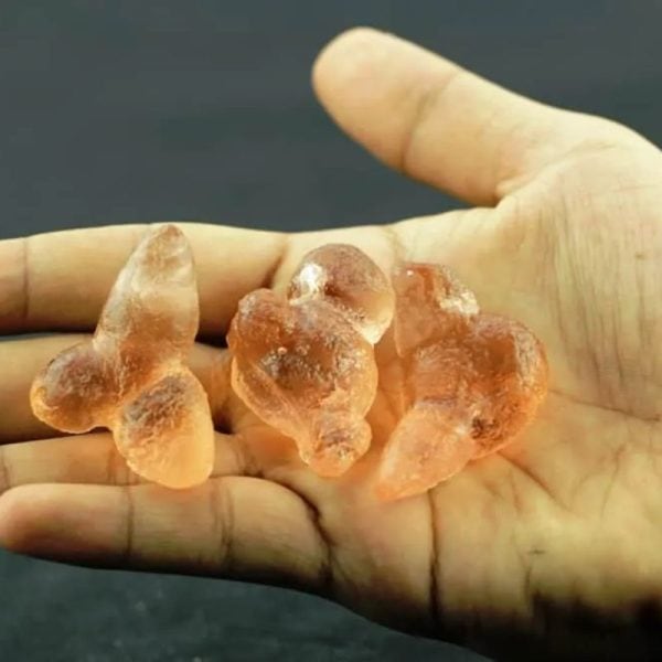 Dugong Pearls - Type H2