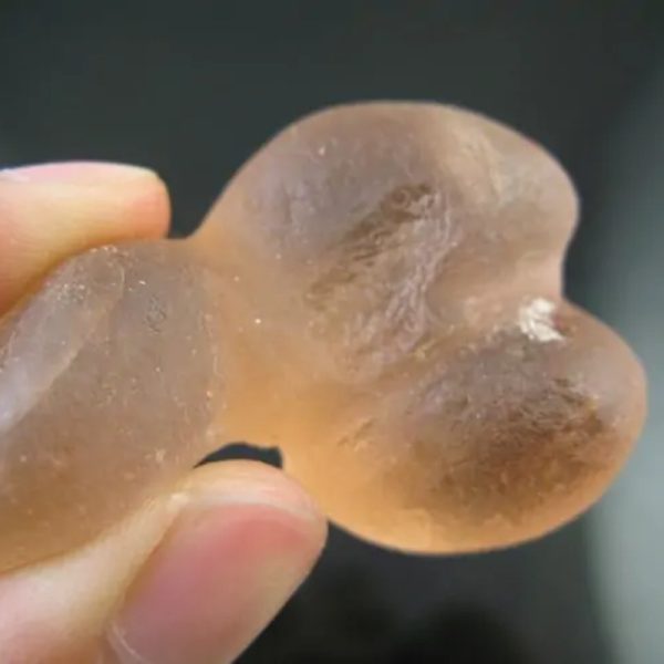 Dugong Pearls - Type G2 - Image 4