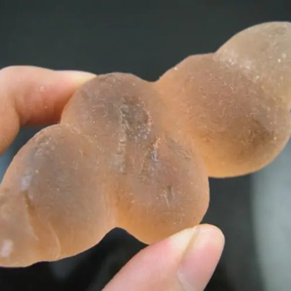 Dugong Pearls - Type G2 - Image 3