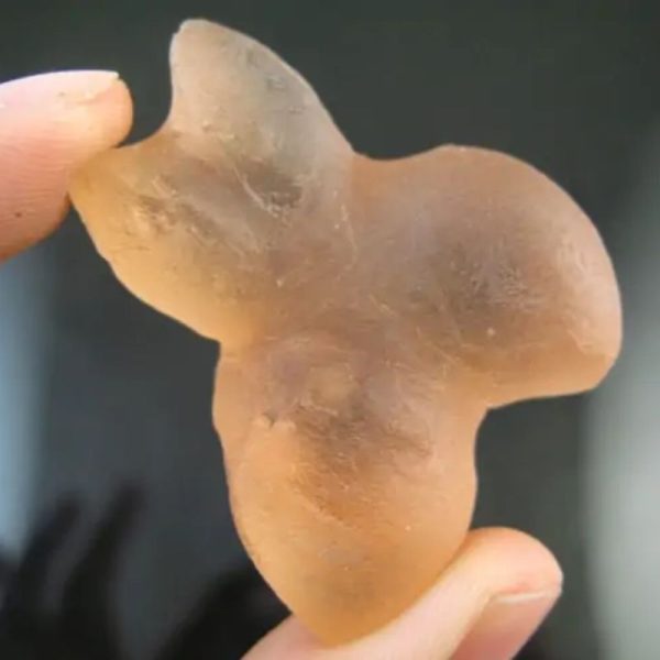 Dugong Pearls - Type G1 - Image 4