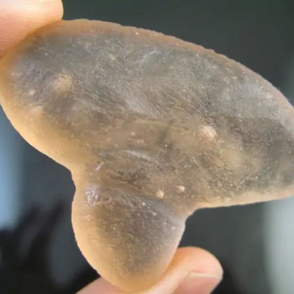 Dugong Pearls - Type G1 - Image 3