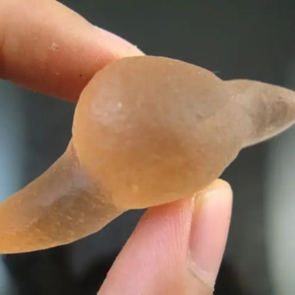 Dugong Pearls - Type G1 - Image 2
