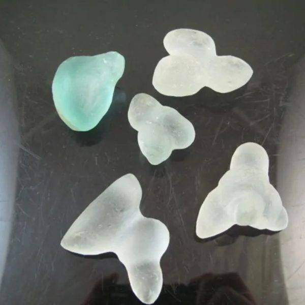 Dugong Pearl - Type F1