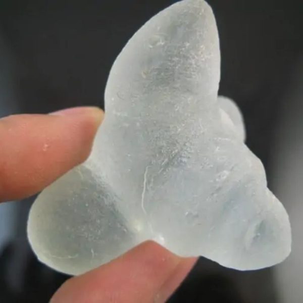 Dugong Pearls - Type F1 - Image 2