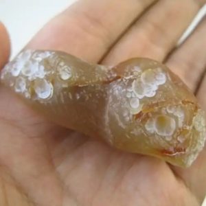 Mummified Dugong - Type A3