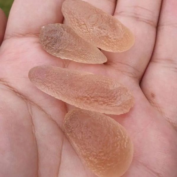 Dugong Pearls - Type C2 (Small) - Image 4