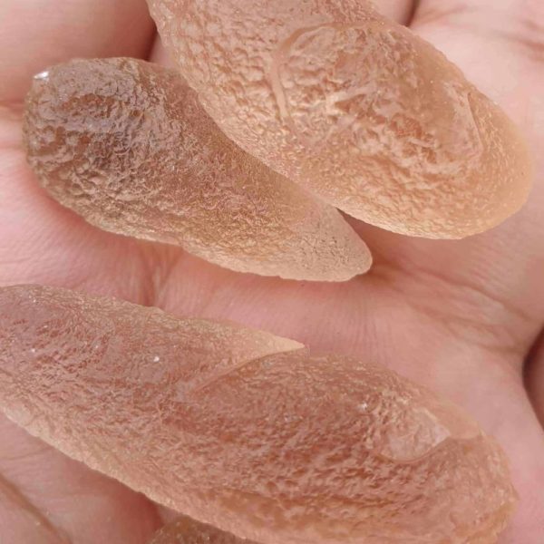 Dugong Pearls - Type C2 (Small) - Image 3