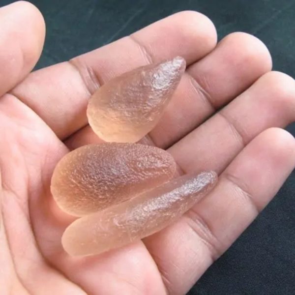 Dugong Pearls - Type C3 (Medium) - Image 5