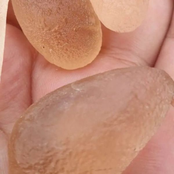 Dugong Pearls - Type C3 (Medium) - Image 2