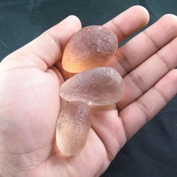 Dugong Pearls - Type C4 (Large) - Image 5