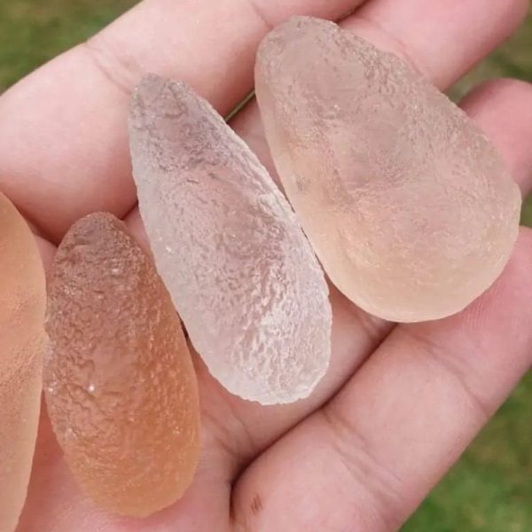 Dugong Pearls - Type C4 (Large) - Image 3