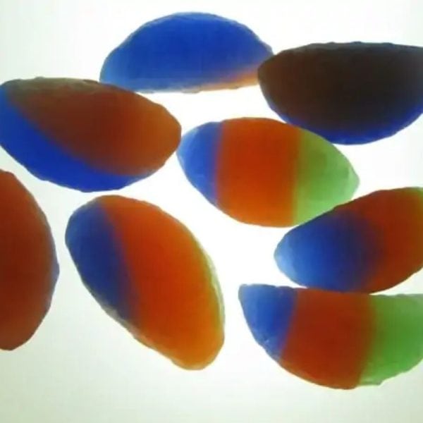 Kumala Centipede Pearl - Type C4 (Male) - Image 3
