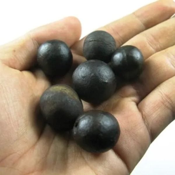 Centipede Pearls - Type M "Black" Male - Image 2