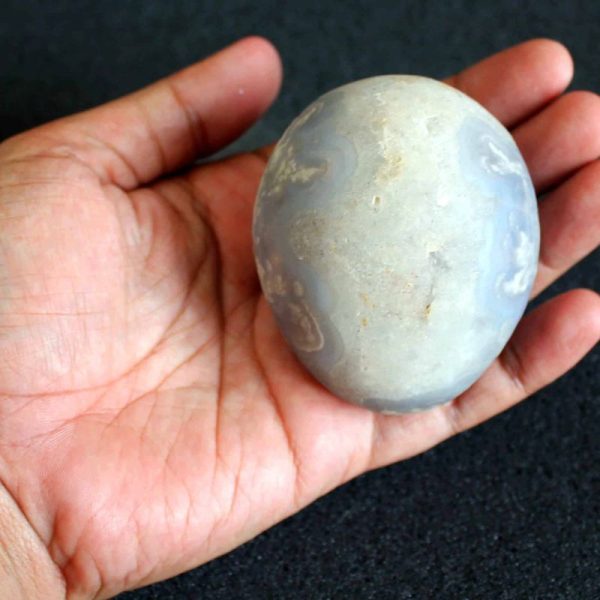 Water Buffalo Pearl - Type E8 - Image 3