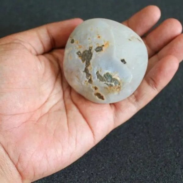 Water Buffalo Pearl - Type E7 - Image 3