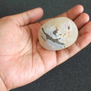 Water Buffalo Pearl - Type E6