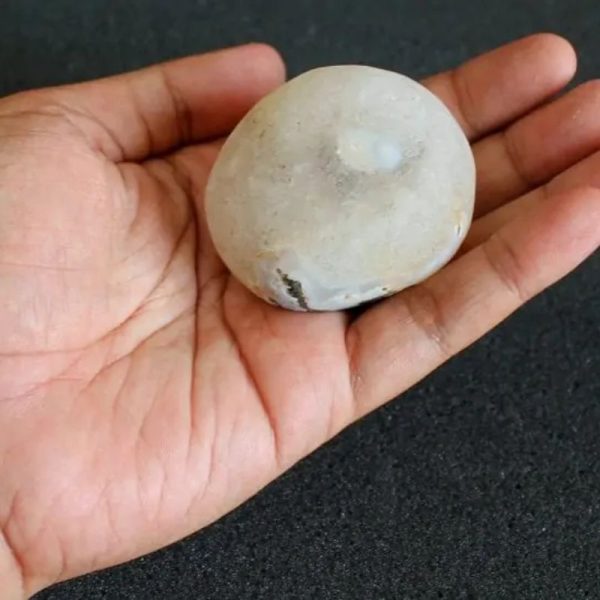 Water Buffalo Pearl - Type E6 - Image 2