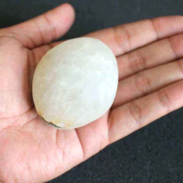 Water Buffalo Pearl - Type E5