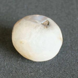 Water Buffalo Pearl - Type E4