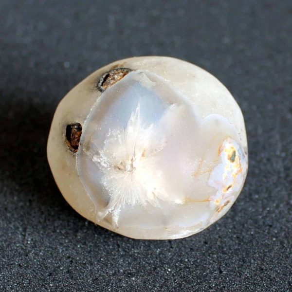 Water Buffalo Pearl - Type E4 - Image 4