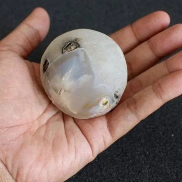 Water Buffalo Pearl - Type E4 - Image 3
