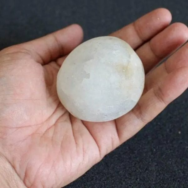 Water Buffalo Pearl - Type E4 - Image 2