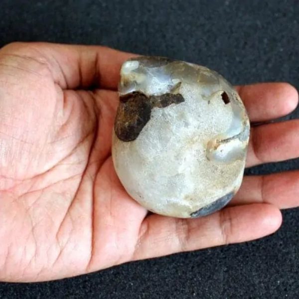 Water Buffalo Pearl - Type E3 - Image 3