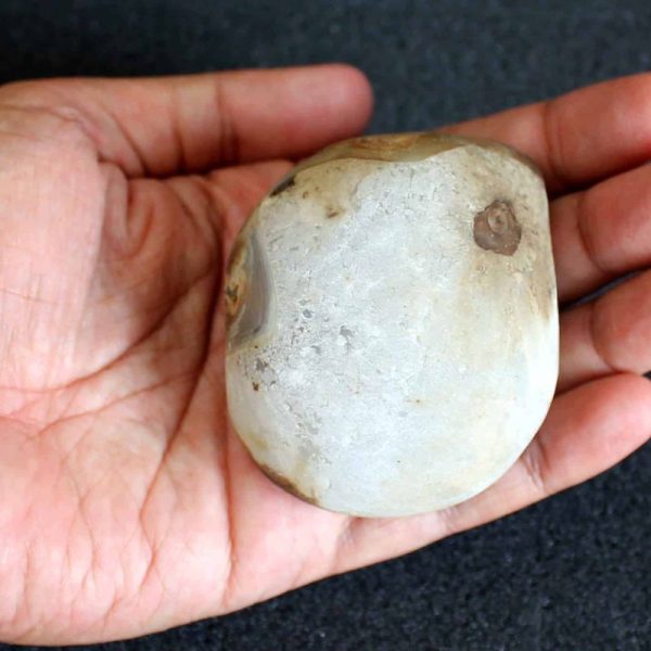 Water Buffalo Pearl - Type E3 - Image 2