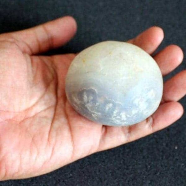 Water Buffalo Pearl - Type E2