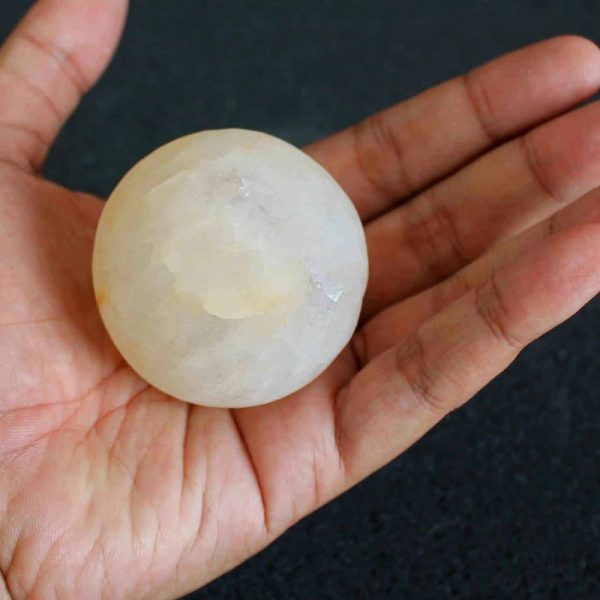 Water Buffalo Pearl - Type E1 - Image 3