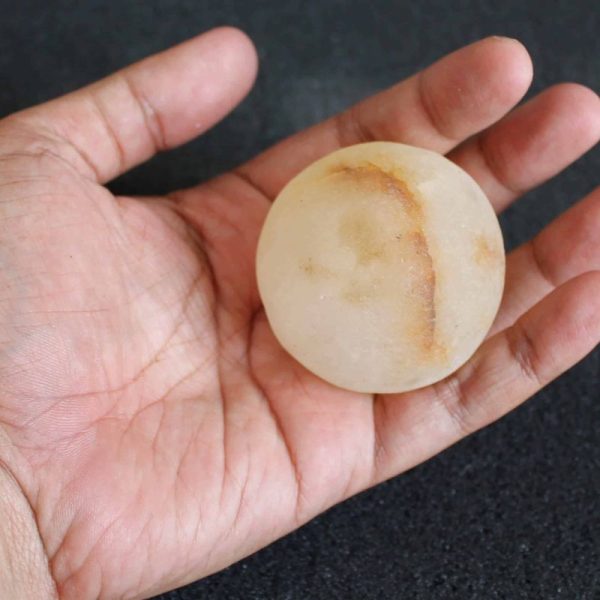 Water Buffalo Pearl - Type E1 - Image 2