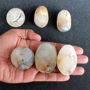 Water Buffalo Pearl - Type C