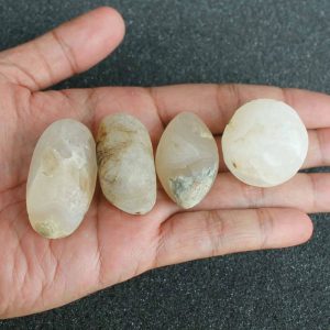 Water Buffalo Pearl - Type B