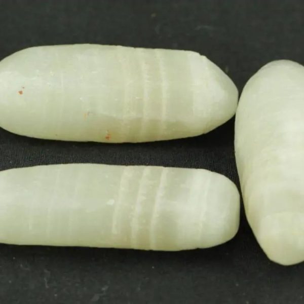 White Horse Pearl - Type C2