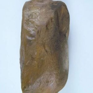 Asem Wood Fossilized - Type A2