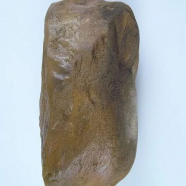 Asem Wood Fossilized - Type A2