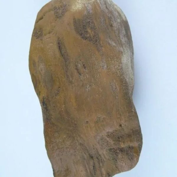 Asem Wood Fossilized - Type A2 - Image 3