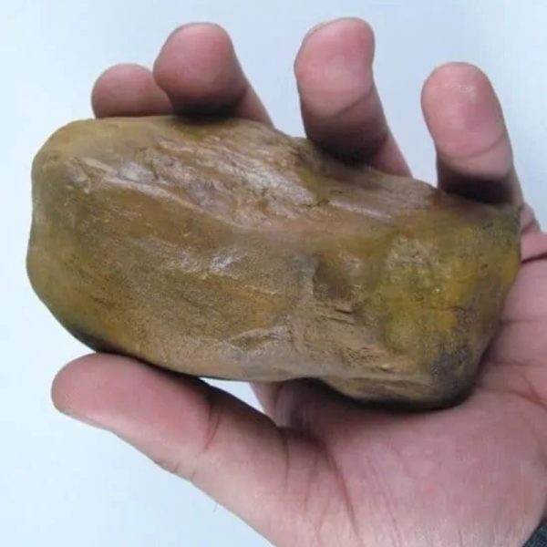 Asem Wood Fossilized - Type A2 - Image 2